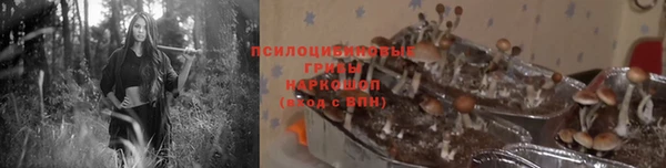 MDMA Premium VHQ Горнозаводск