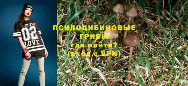 MDMA Premium VHQ Горнозаводск