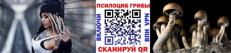 Псилоцибиновые грибы ЛСД  как найти   Нерюнгри 