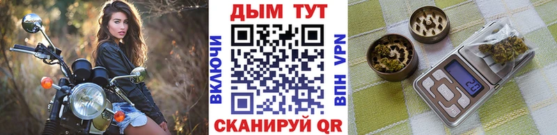 Бошки Шишки конопля Нерюнгри